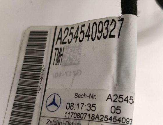 MERCEDES-BENZ GLC X254 (2022-2023) Дверные кабели задние  правые A2545409327 31415998