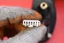 thumbnail-7