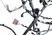 thumbnail-12