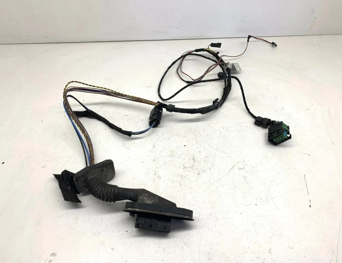 BMW 5 Series E39 (1995-2004) Rear Right Door Wiring 22022000,8364239 28569093