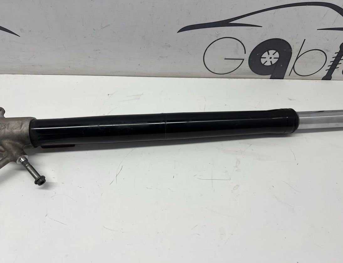 BMW R1250 (2019-2023) Front fork shock absorber 8520516 33000346
