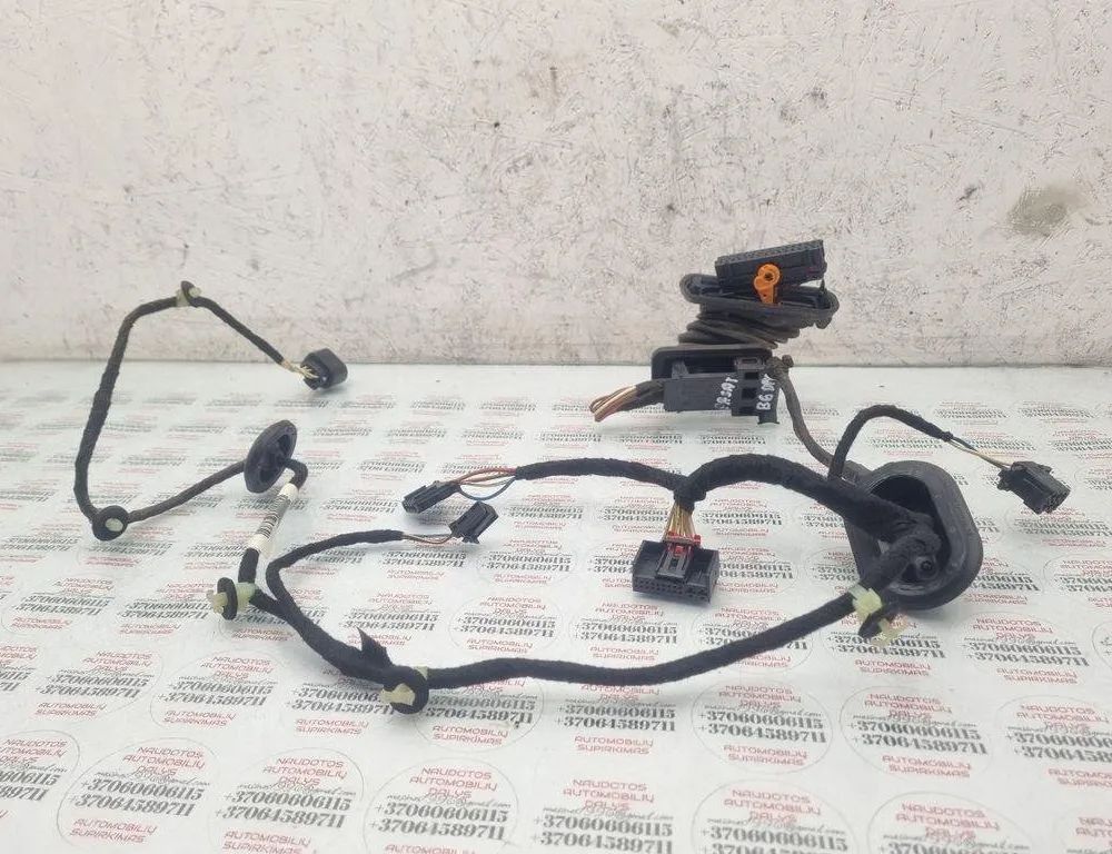 VOLKSWAGEN Passat B6 (2005-2010) Дверные кабели задние  правые 3C0971615,3C4971694KJ 31449496