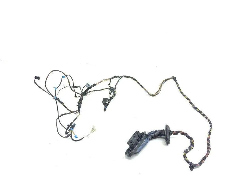 BMW X3 F25 (2010-2017) Rear Left Door Wiring 14972610,7252537 31636676