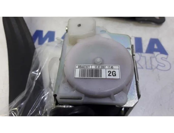 CITROËN C4 Picasso 1 generation (2006-2013) Ремень безопасности задний левый 9654437977,8974XP,A045014,040731 27778194