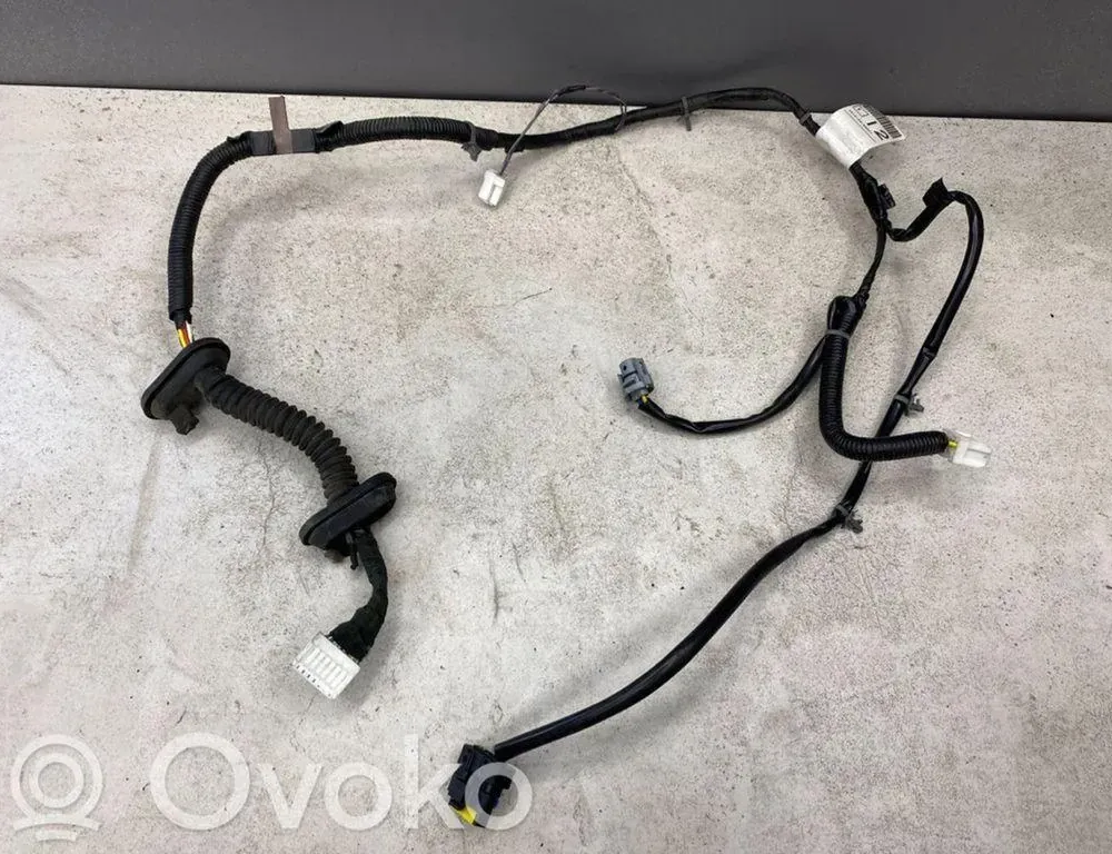 NISSAN Pathfinder R51 (2004-2014) Дверные кабели задние правые 24126EB301 36137788