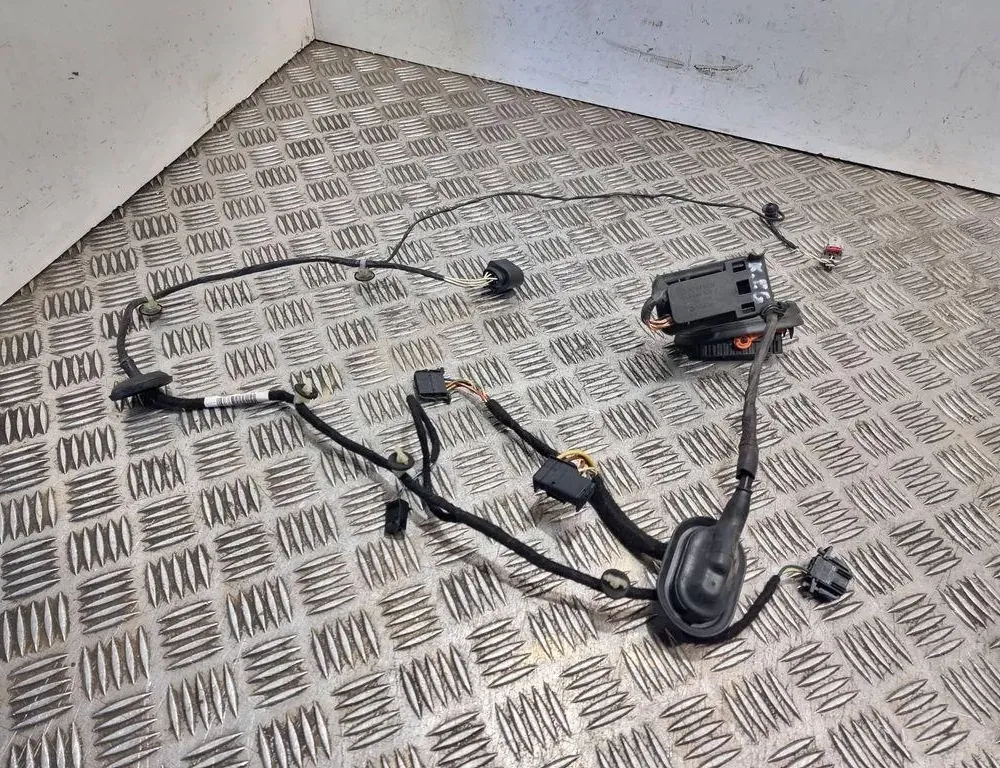 VOLKSWAGEN Passat B7 (2010-2015) Дверные кабели задние левые 3c0971615 33718137