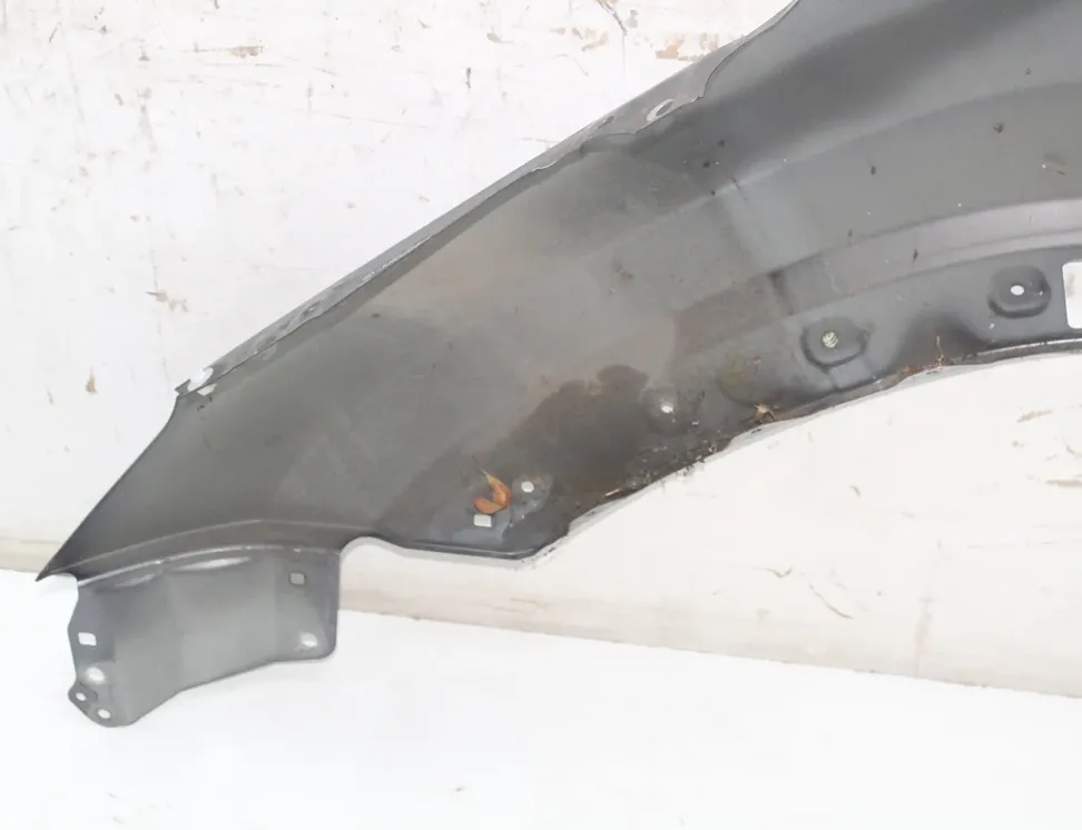 LEXUS NX 1 generation (2014-2021) Front Right Fender 1H9 33441961