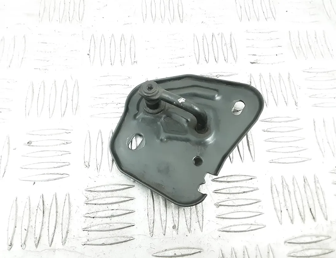 AUDI Q3 8U (2011-2020) Крюк капотa 4G0823186 33731421