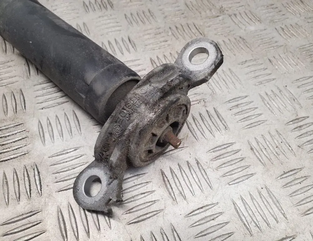 CHRYSLER Pacifica 2 generation (RU) (2016-2023) Rear Left Shock Absorber P68231971AG 33442620