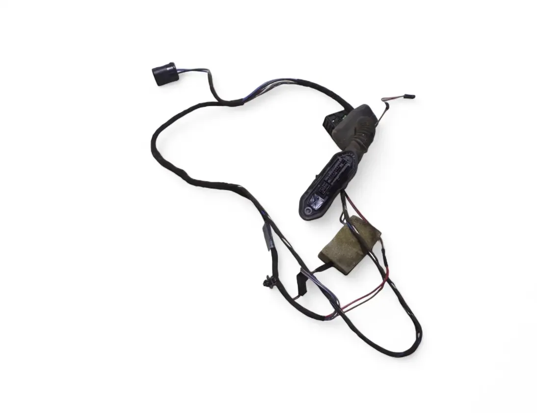 BMW 5 Series E39 (1995-2004) Rear Right Door Wiring 6913392 31881025