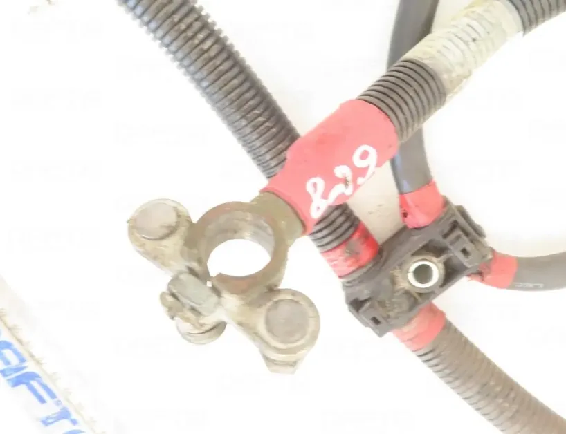 DAF XF (2012-present) Positive Battery Cable 1973657 33090660