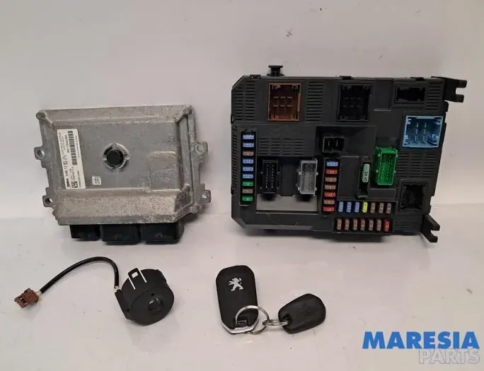 PEUGEOT 2008 1 generation (2013-2020) Блок управления двигателем 9663123380,9811545280,9807532080,1611785780,22661F,HW9800915880,1616442380,50288101,153111108,1980061001 33143670