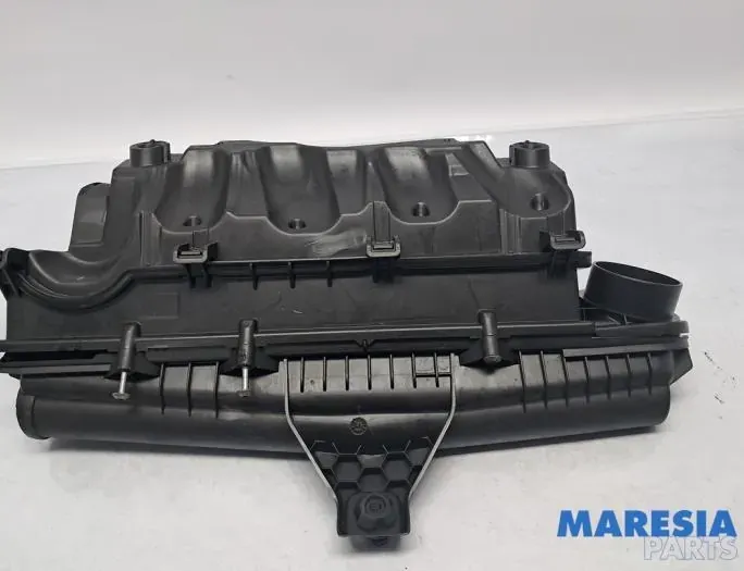 CITROËN DS4 1 generation (2010-2016) Air Filter Box 1420V6,1420T5,V760954680 33143783