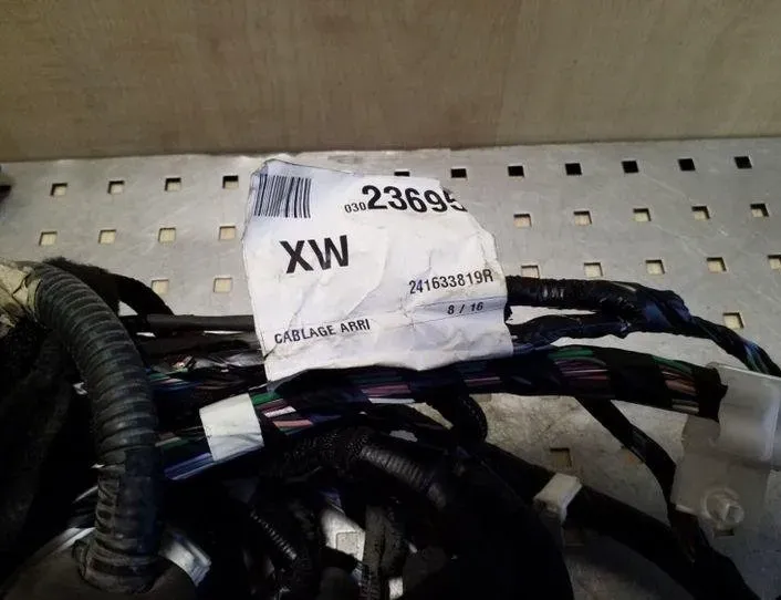 RENAULT Kadjar 1 generation (2015-2024) Жгут проводов 241633819R 26069948