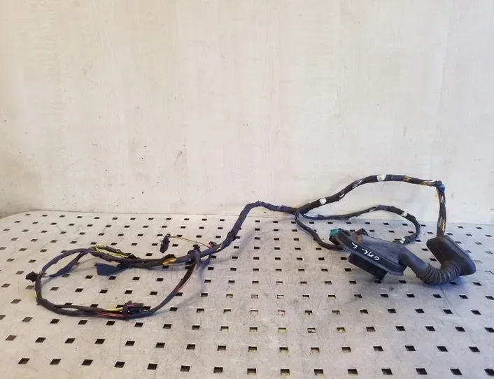 BMW X5 E53 (1999-2006) Rear Left Door Wiring 693755801 26142679