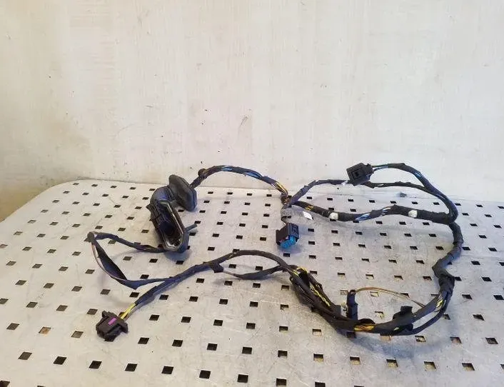 BMW X5 E53 (1999-2006) Rear Left Door Wiring 693755801 26142679