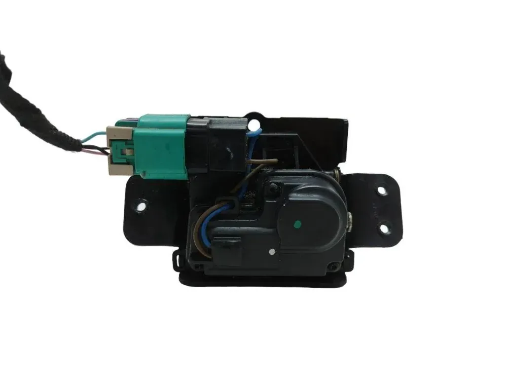 OPEL Antara 1 generation (2006-2015) Tailgate Boot Lock 33369840