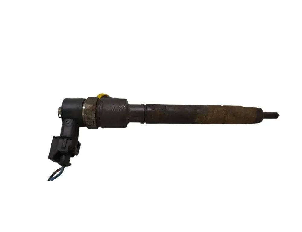 VOLVO V70 3 generation (2007-2020) Fuel Injector 0445110298 34531247