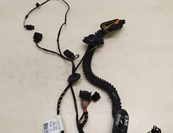 PORSCHE Cayenne 958 (2010-2018) Rear Right Door Wiring 7P5971694A 31418463