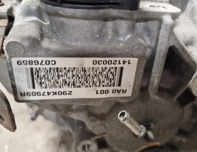 RENAULT Zoe 1 generation (2012-2023) Engine RA0,RA0001,MAQ,290106283R 27552113