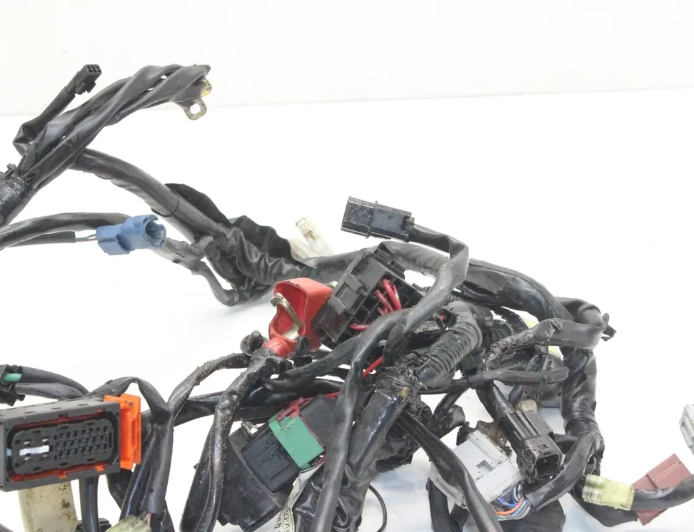 HONDA CBR (1983-2016) Жгут 32100-MGV-D204 33335209