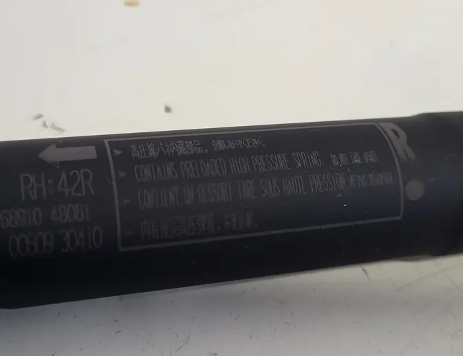 LEXUS RX 4 generation (2015-2024) Tailgate  Opening Cylinders 6891048081 33954017