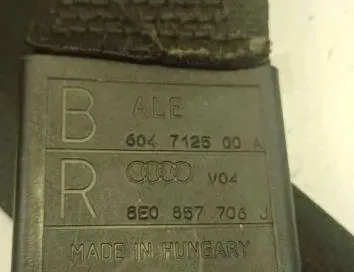 AUDI A4 B6/8E (2000-2005) Ремень безопасности передний левый 8E0857706J,604712500A,203062004 34890005