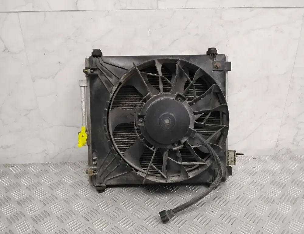 TESLA Model S 1 generation (2012-2024) Air Con Radiator 600735200F 34845667