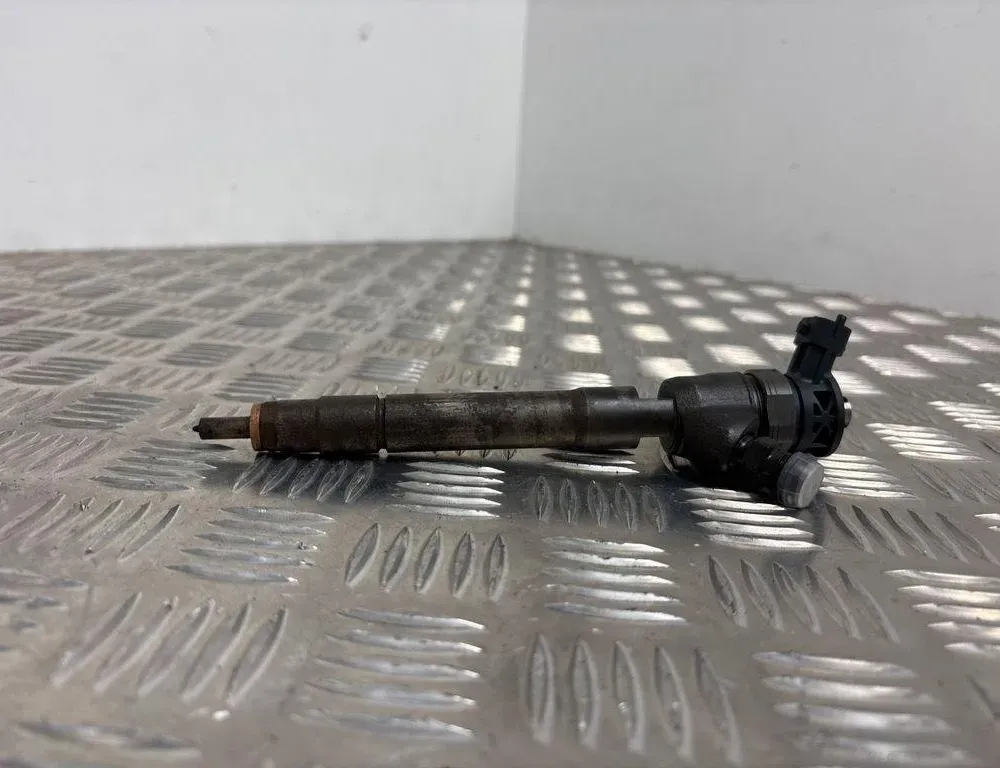 RENAULT Scenic 3 generation (2009-2015) Fuel Injector 0445110414 30561981