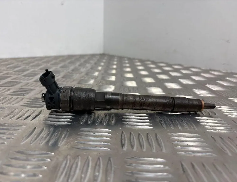 RENAULT Scenic 3 generation (2009-2015) Fuel Injector 0445110414 30561981