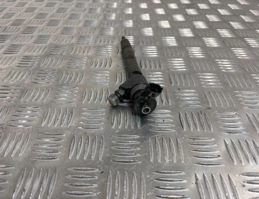 RENAULT Scenic 3 generation (2009-2015) Fuel Injector 0445110414 30570863