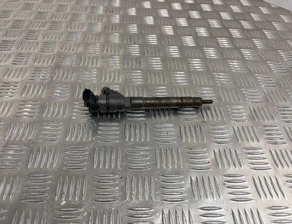 RENAULT Scenic 3 generation (2009-2015) Fuel Injector 0445110414 30570863