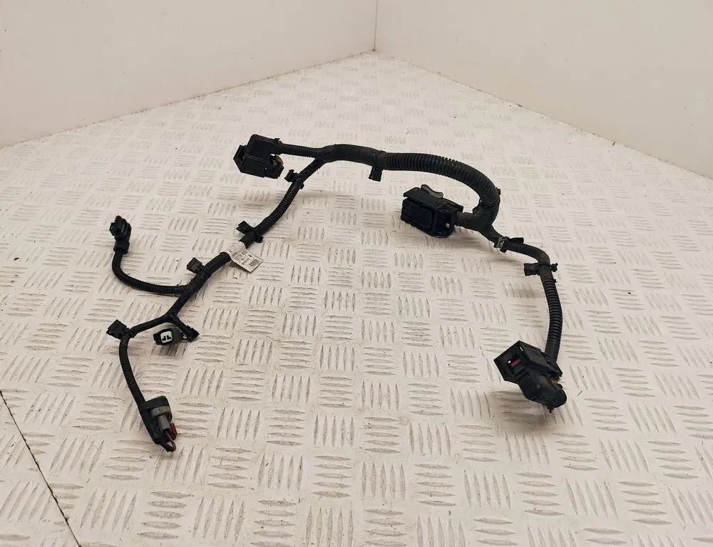 RENAULT Kadjar 1 generation (2015-2024) ДРУГОЙ ПРОВОДНИК 2500607300,5627280020 36194073