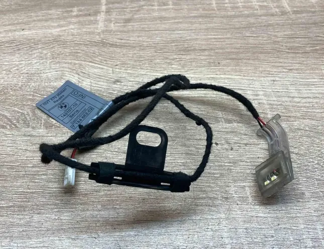 BMW X5 E53 (1999-2006) Rear Left Door Wiring 7184662,6936592 34363742