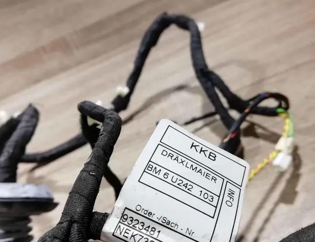 BMW X5 E53 (1999-2006) Rear Left Door Wiring 9323481,6u242103 34411768
