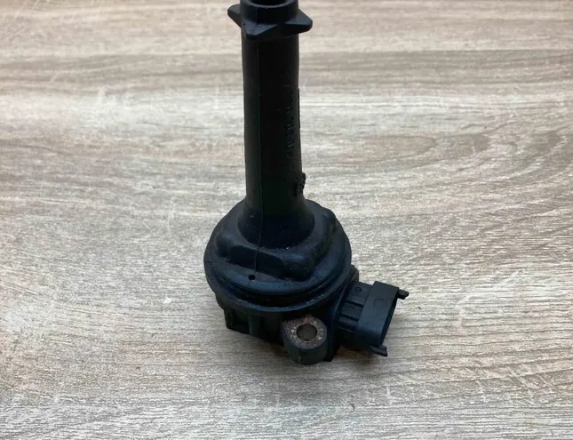 VOLVO S80 1 generation (1998-2006) Комплект катушки зажигания с высоким напряжением 9125601,0221604001 34360355