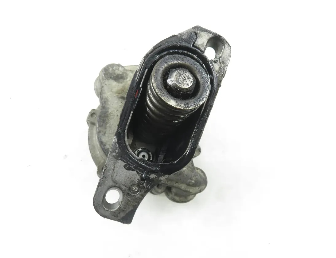 VOLKSWAGEN Transporter T4 (1990-2003) Vacuum Pump 722300690 34843303