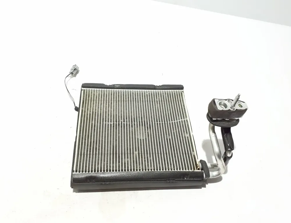 FORD Mustang Mach-E 1 generation (2020-2024) Interior Heater Radiator JX6A19D710AB 34843160