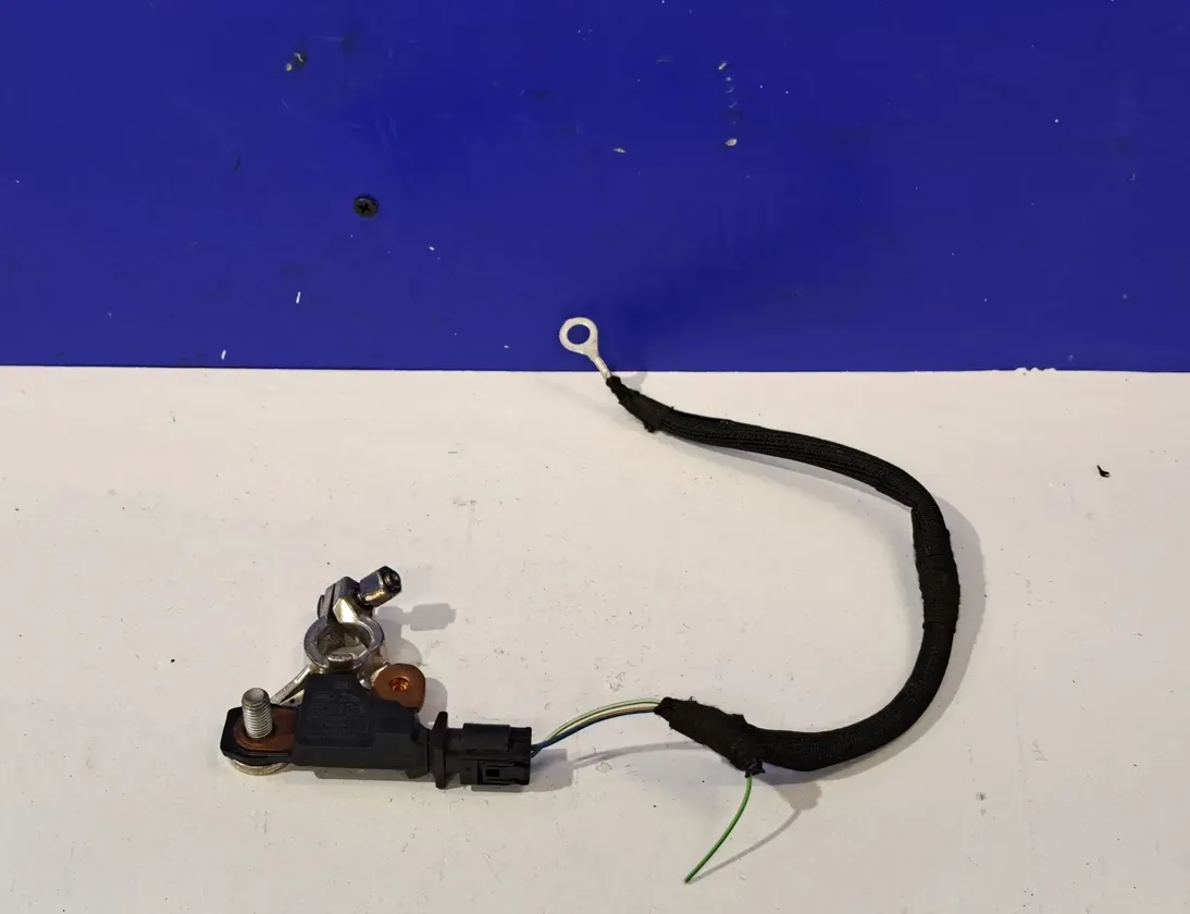 LAND ROVER Range Rover 4 generation (2012-2022) Kлемы аккумулятора BJ32-10C679-AE 33718571