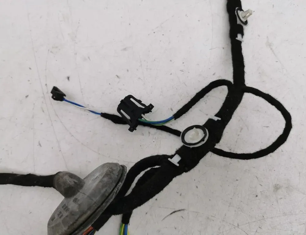 AUDI Q7 4L (2005-2015) Rear Right Door Wiring 36120027