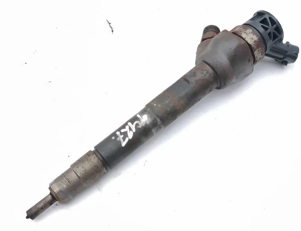 LAND ROVER Range Rover Evoque L551 (2 gen) (2018-2024) Fuel Injector G4D39K546CB 36191180