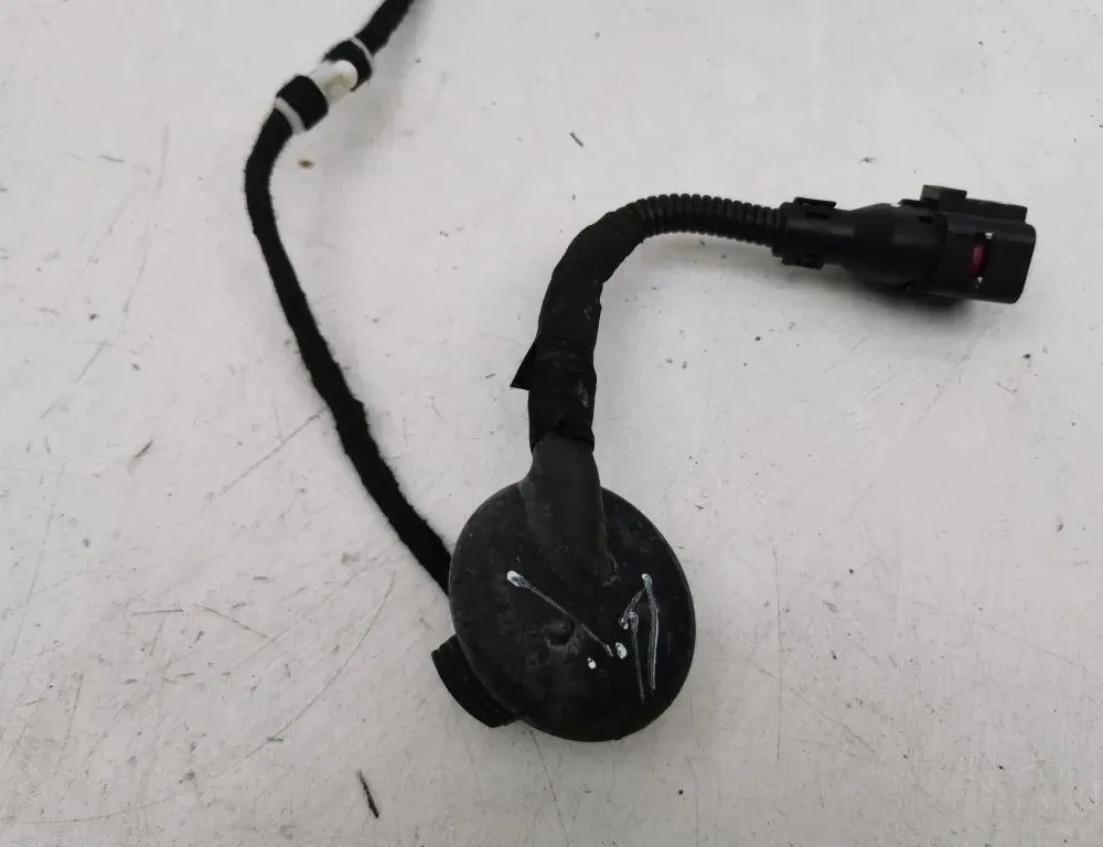 AUDI Q7 4L (2005-2015) Rear Right Door Wiring 36120027