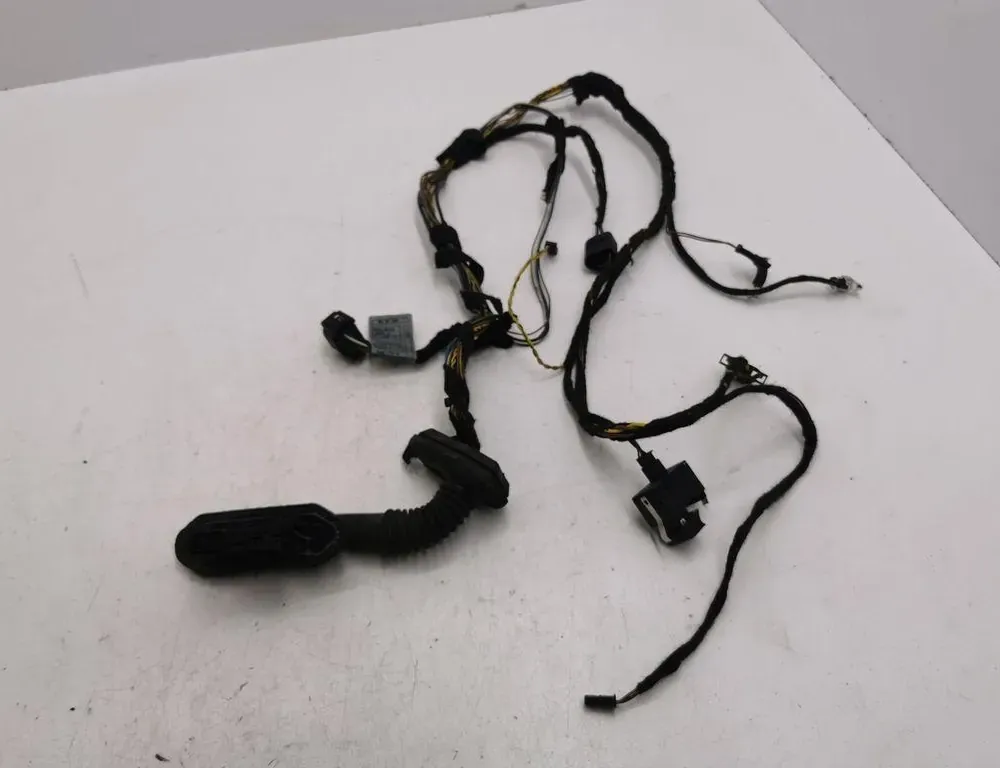 BMW X5 E53 (1999-2006) Rear Right Door Wiring 6923513 36121265