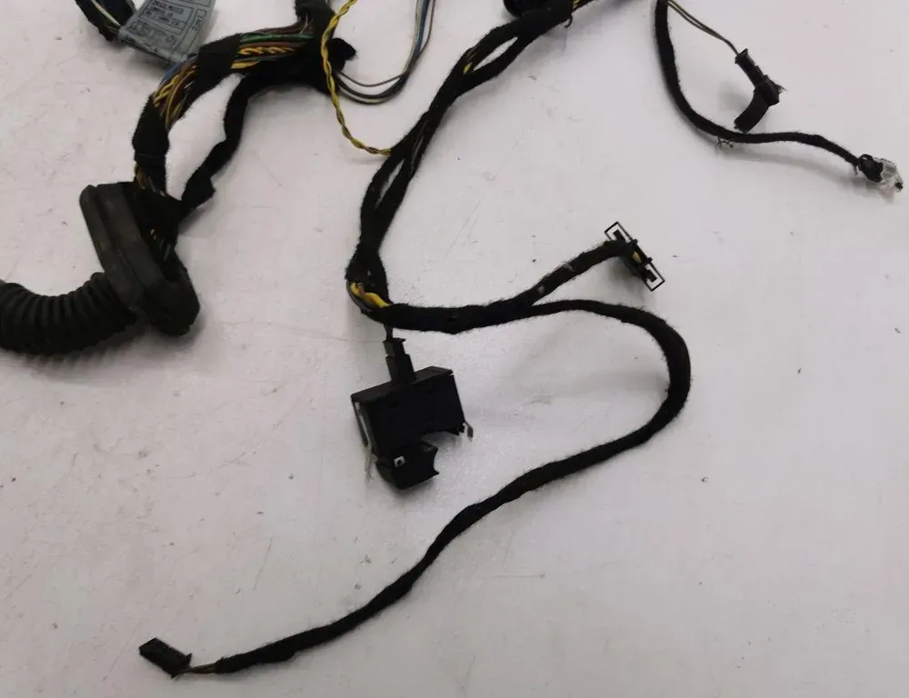 BMW X5 E53 (1999-2006) Rear Right Door Wiring 6923513 36121265