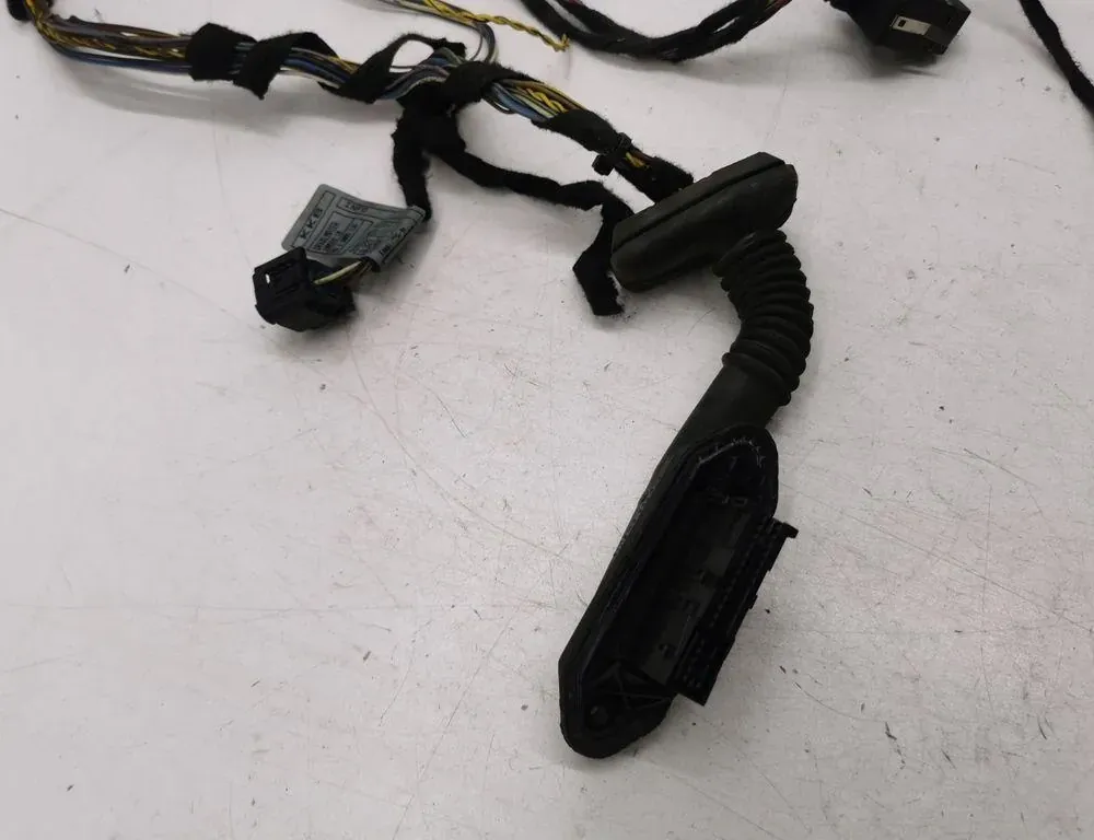 BMW X5 E53 (1999-2006) Rear Right Door Wiring 6923513 36121265