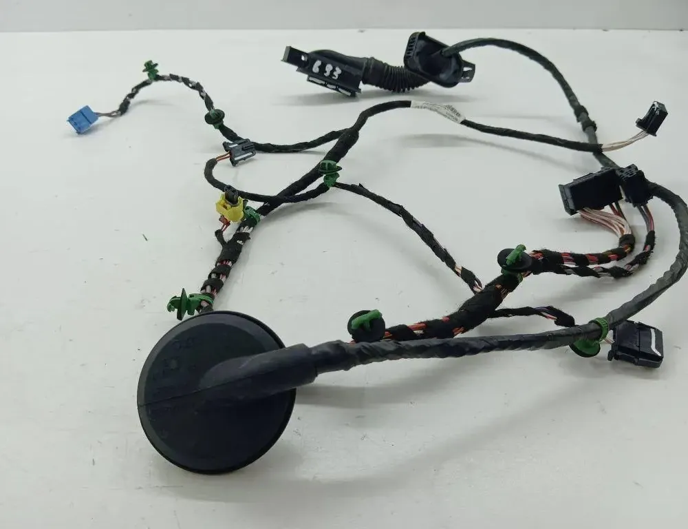 VOLKSWAGEN Passat B8 (2014-2023) Rear Right Door Wiring 3G0971694F 36119649