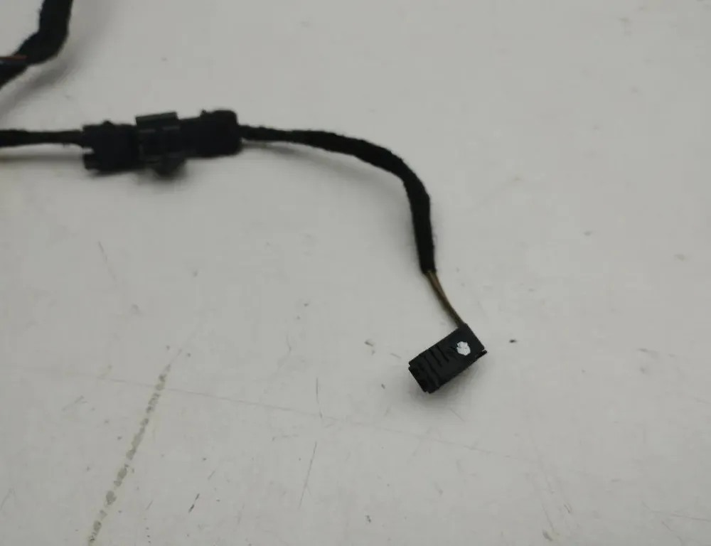 AUDI A7 C7/4G (2010-2020) Rear Right Door Wiring 4G8971693A 36117101