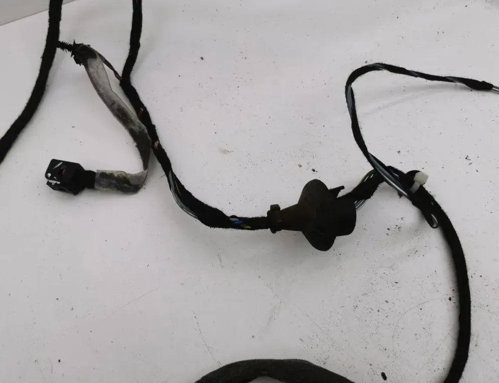VOLVO XC90 1 generation (2002-2014) Rear Right Door Wiring D8697921002 36120776
