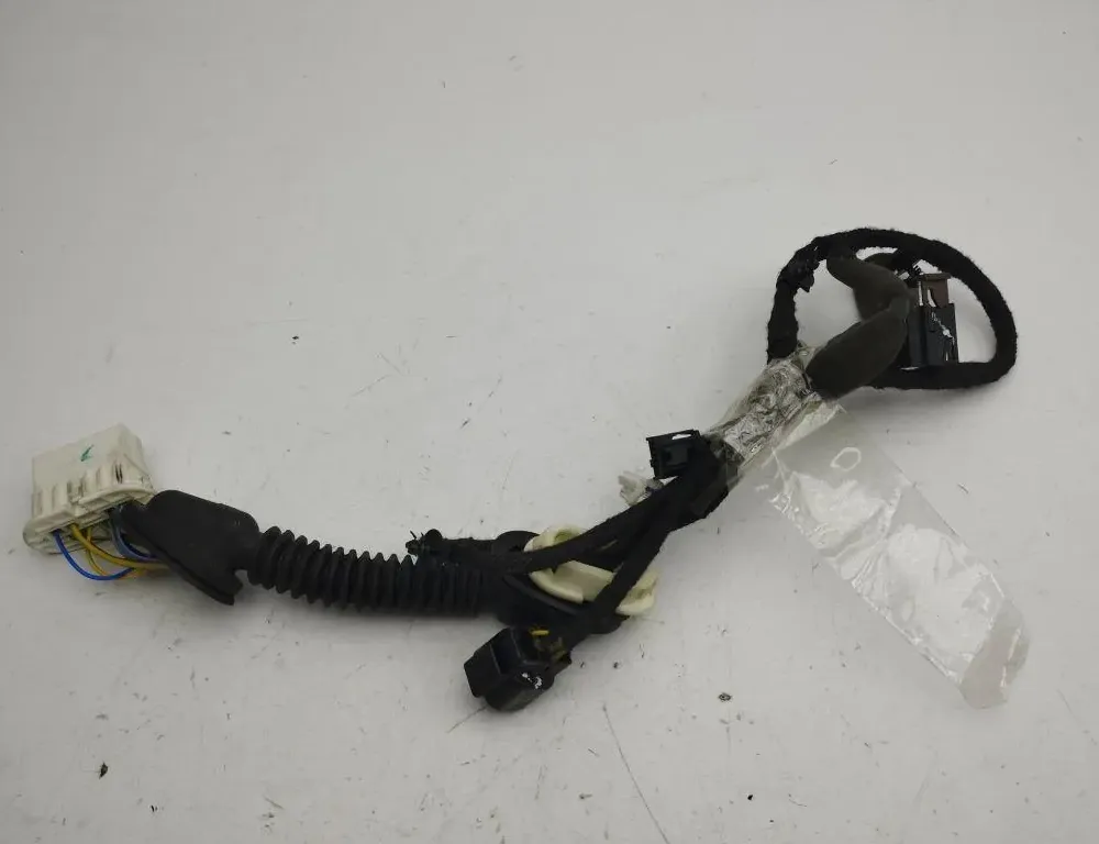 OPEL Antara 1 generation (2006-2015) Дверные кабели задние  правые 20980140 36119533