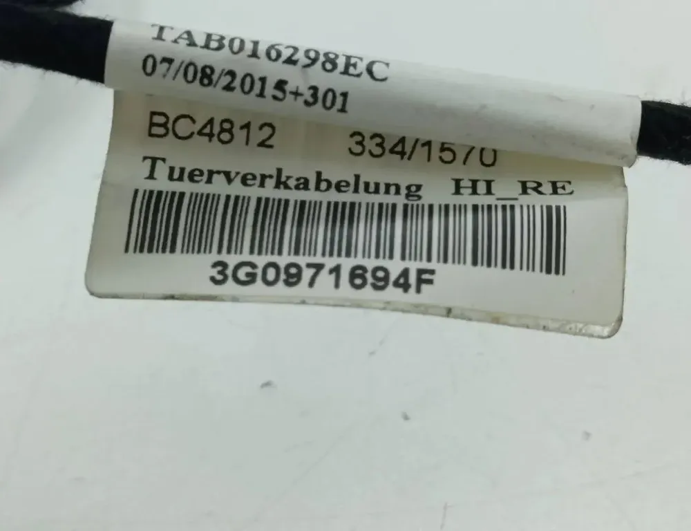 VOLKSWAGEN Passat B8 (2014-2023) Rear Right Door Wiring 3G0971694F 36119649